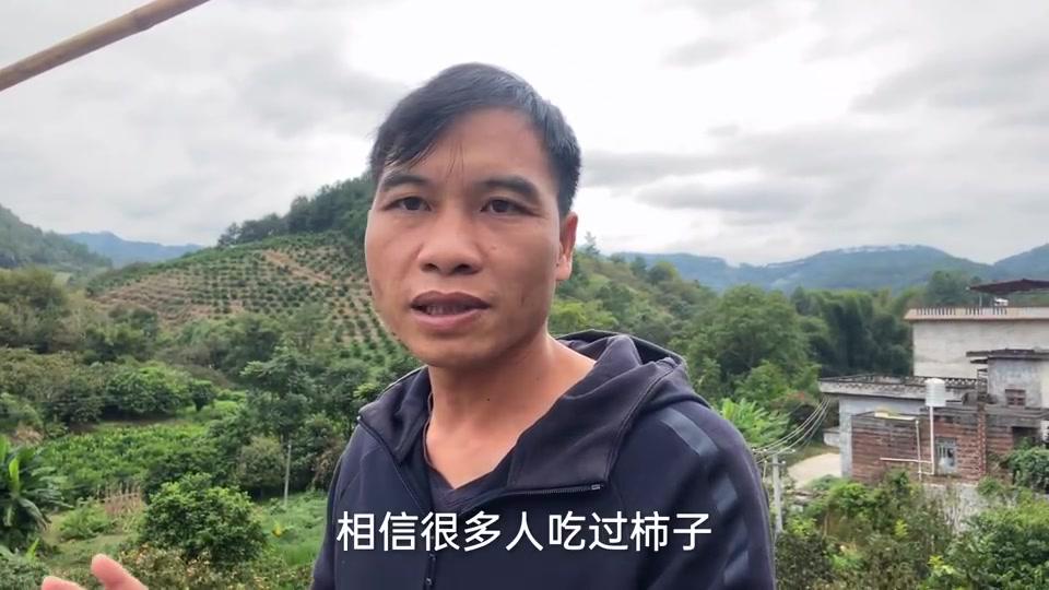 广西炮哥家乡又晒柿子了,嫂子露一手给粉丝们看看,柿子加工削皮