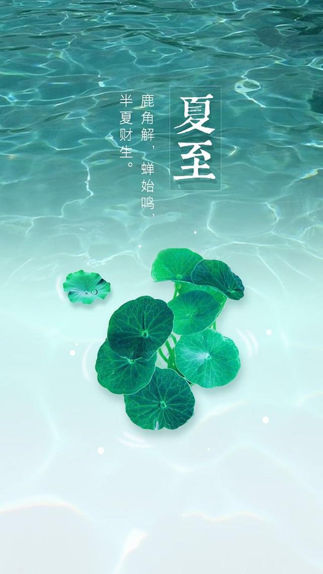 半夏时光夏至已至 不负时光不负己