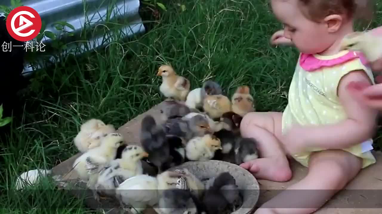 宝妈实力坑娃,把鸡嘴对着孩子眼睛,下一秒意外发生!__财经头条