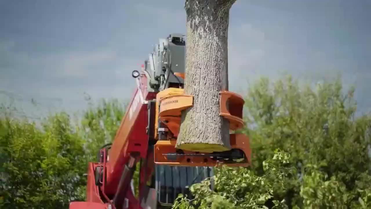 这什么机械设备把树锯了举着就跑砍树既有趣又方便