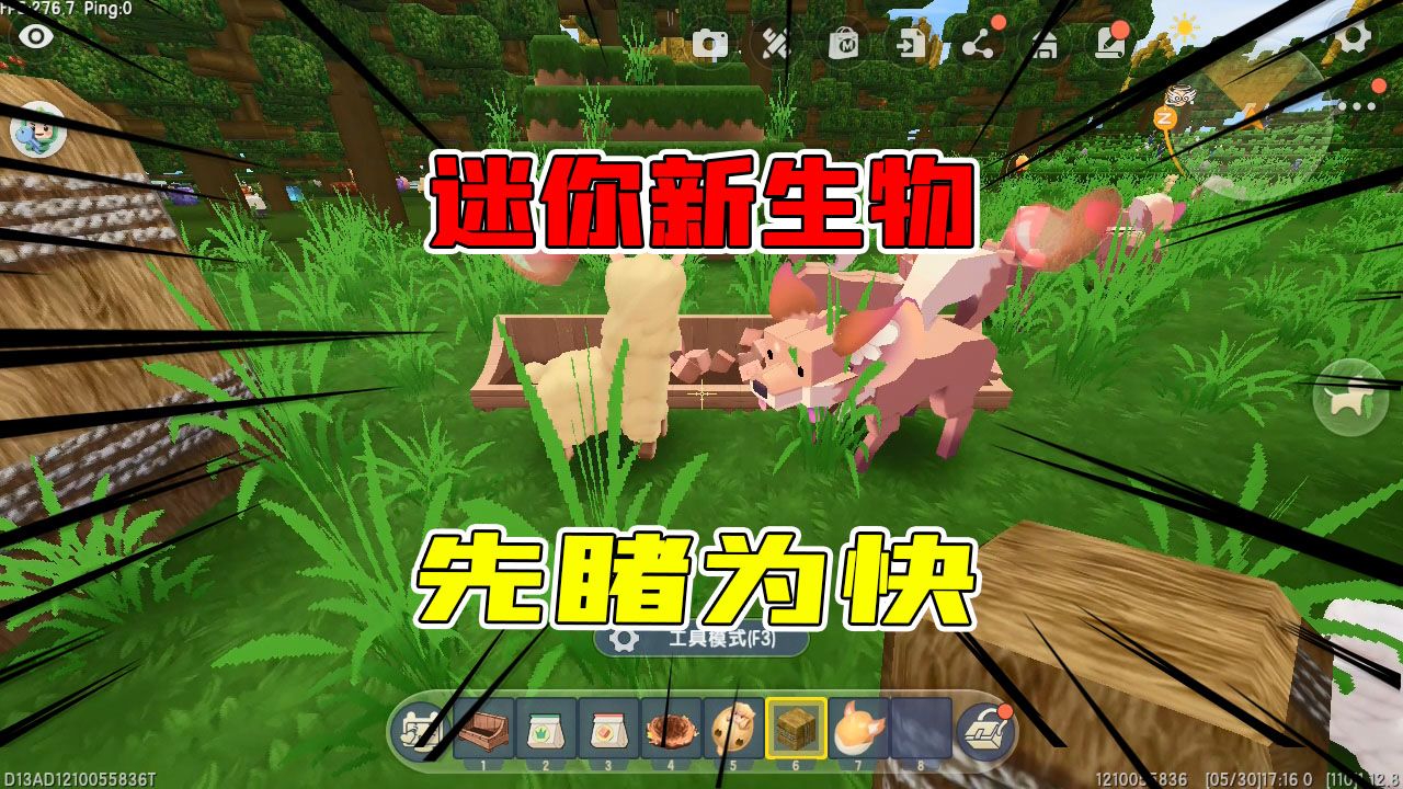 迷你世界迷你新生物羊驼狐狸蝙蝠渡渡鸟你见过没赶快先睹为快