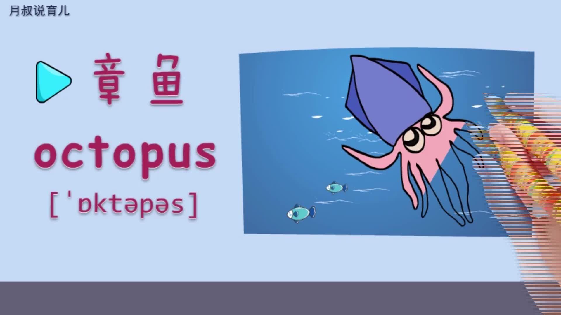 亲子绘画英语27:大海里有很多动物,你有没见过章鱼呢?