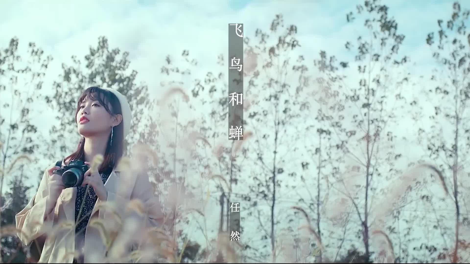 钢琴版《飞鸟和蝉》.挺喜欢这首歌曲的