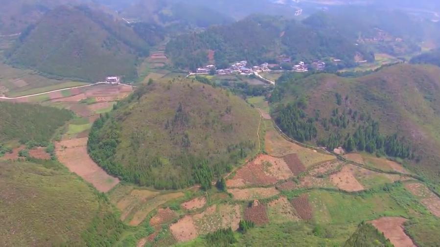 此地中心像太阳,五龙戏珠,价值连城的风水宝地