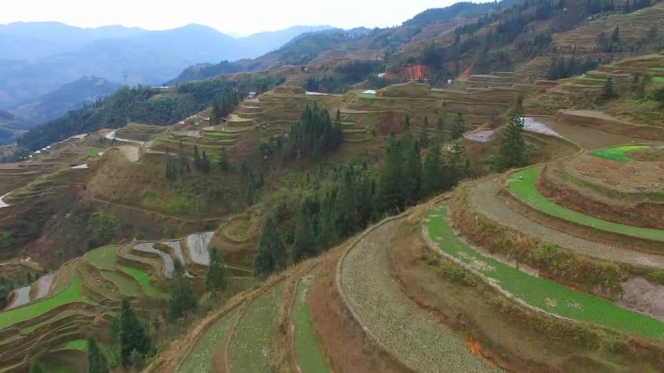 田里的小土包很是占据农田面积,多年来却没人敢动它,实为罕见_新浪新闻