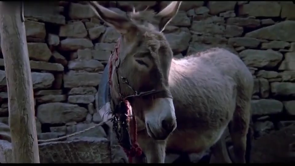 举起手来:潘长江闻驴屁,太好笑了!