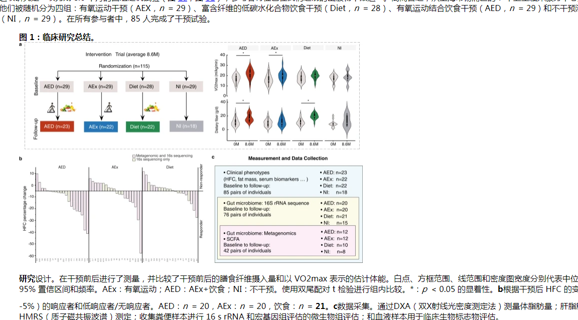 为什么肠道菌群重建改善脂肪肝？最新研究发现运动与饮食干预效果休闲区蓝鸢梦想 - Www.slyday.coM