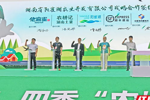樟树港辣椒下树，你该来会会“舌尖上的湘阴”|辣椒|樟树|湘阴_新浪新闻