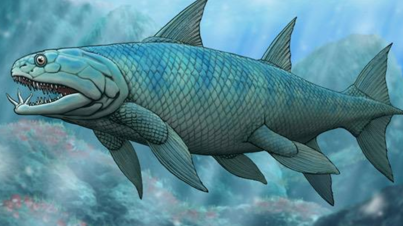 4亿多年前,文昌鱼进化成原始鱼类,人类的祖先也有机会诞生