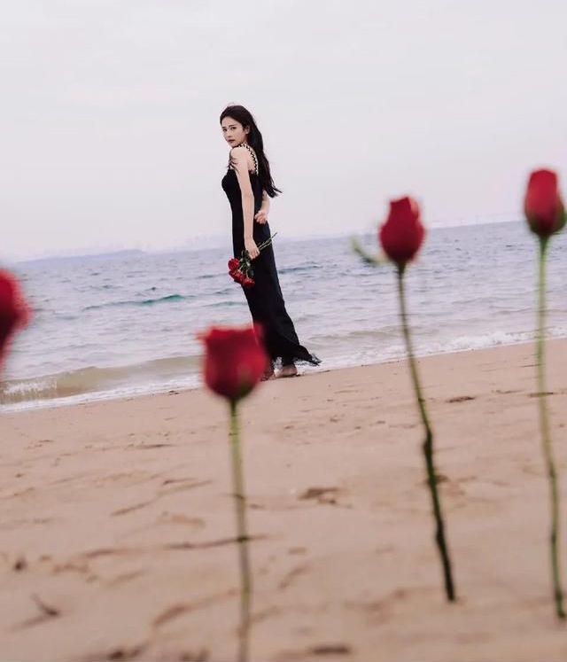 白鹿海边美照颜值永远绝绝子