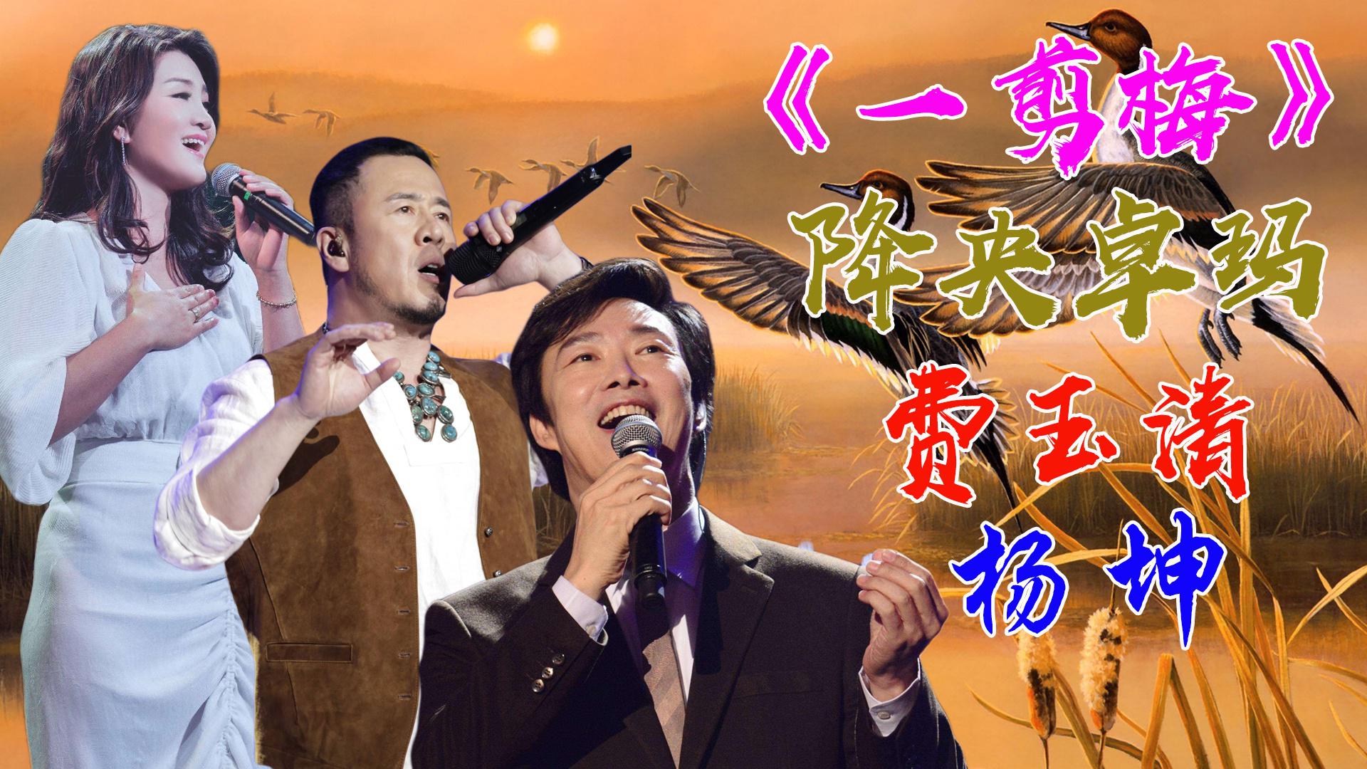 3版《一剪梅》费玉清唱尽爱恨情仇,降央卓玛魔力开唱,不输小哥