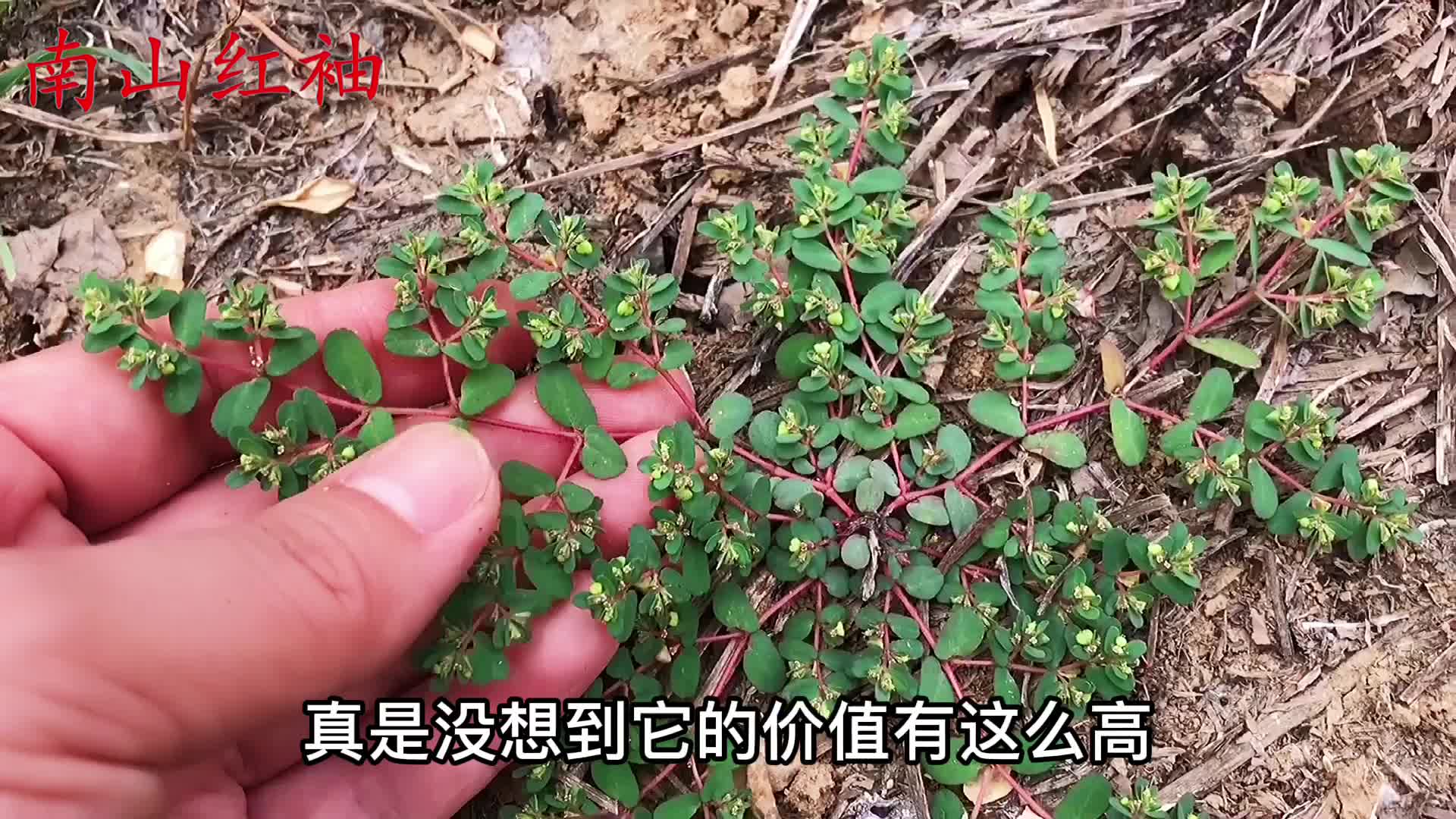 今天才知道,真实用