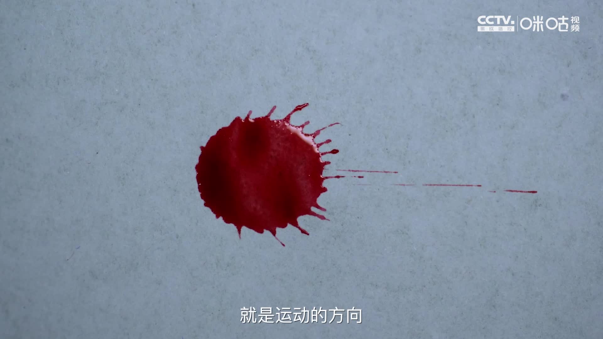 《超时空鉴定》_新浪网