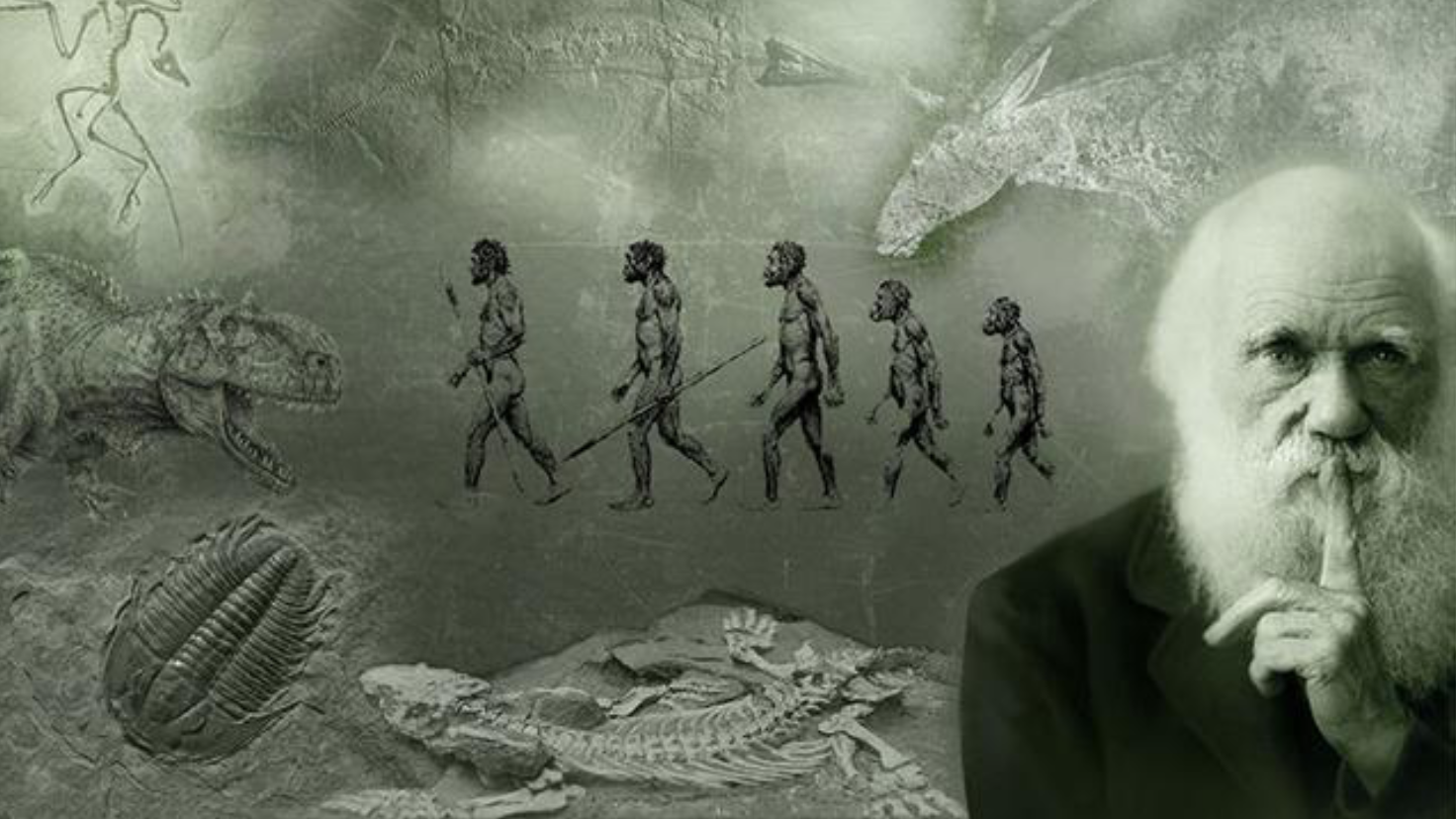 智慧不是地球生物进化的明确方向,生物进化的最终目的是什么?