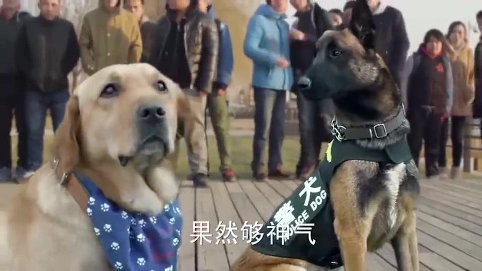神犬小七:小七抢了艾亮的面包,一丹急忙制止,一看竟然是前任!