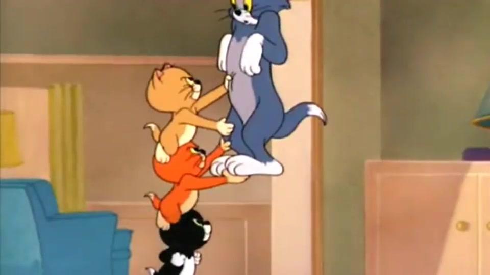 猫和老鼠:三只小猫堆高,举起汤姆往房顶撞,汤姆全程都是蒙的