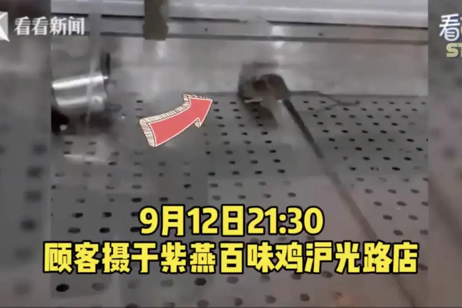 “紫燕百味鸡”陷入食品安全漩涡：橱窗里老鼠乱