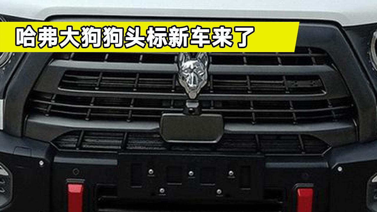 哈弗大狗的新车标曝光,新车标到底长什么样?十分霸气