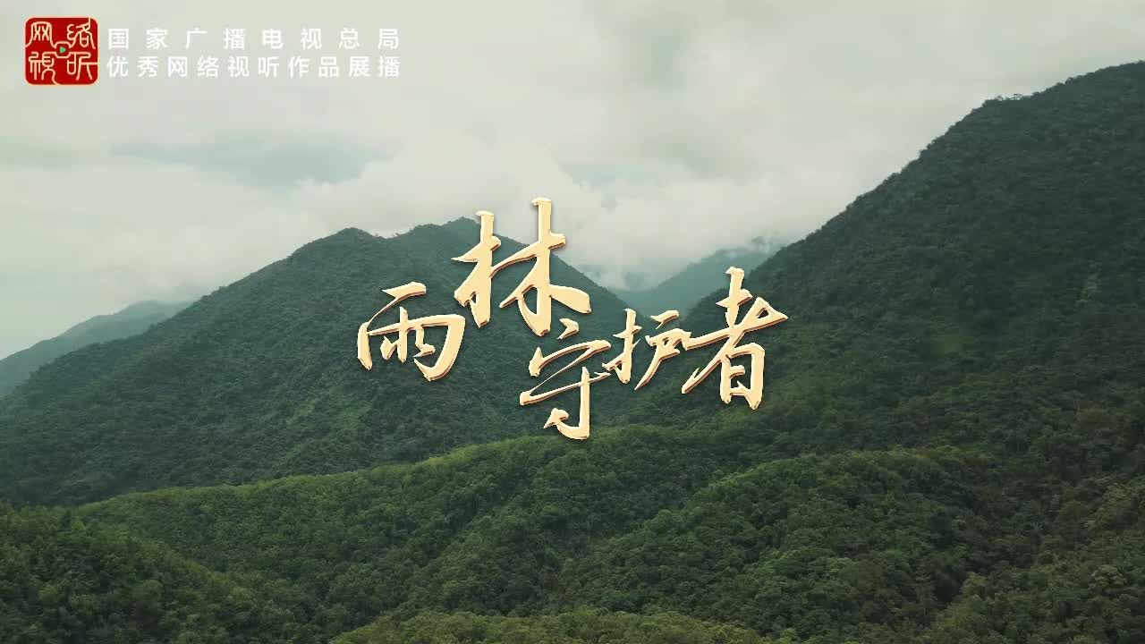 雨林守护者