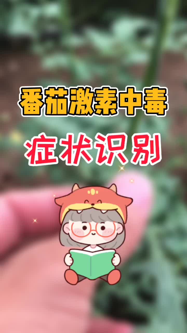 「农技」番茄激素中毒症状识别!_手机新浪网