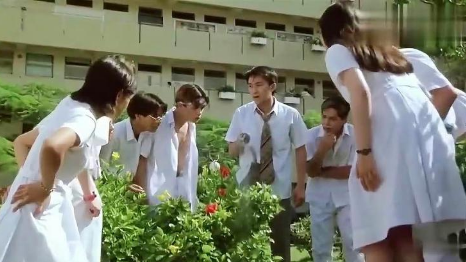 星爷浇花也被学生围观,总感觉哪里不太对