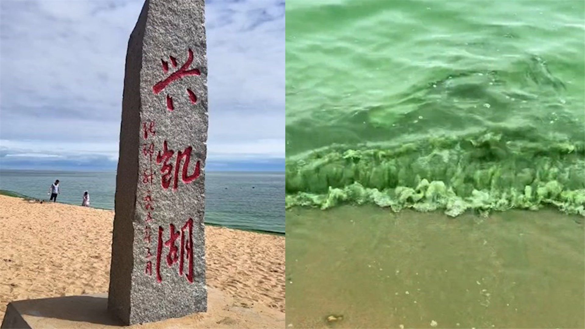 黑龙江兴凯湖受卡努影响,湖水变绿似菠菜汁,景区:浮藻被吹来了|台风 |兴凯湖 |绿色_新浪新闻