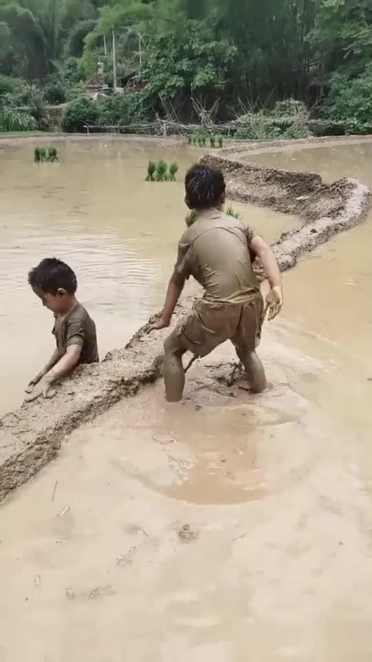 熊孩子在泥地放飞自我,大人根本不管,也没有时间!_新浪新闻