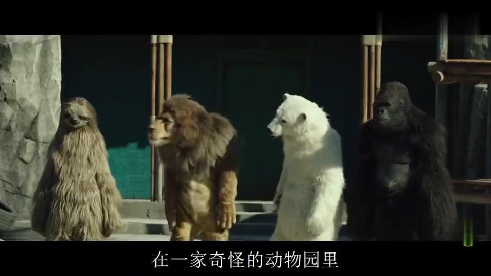 动物园下班之后,大猩猩背着树懒一起回家,一部搞笑动物电影