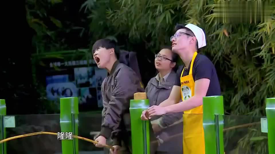奇妙的朋友:杜天皓展狮吼神功,叫破音了,李宇春无情调侃