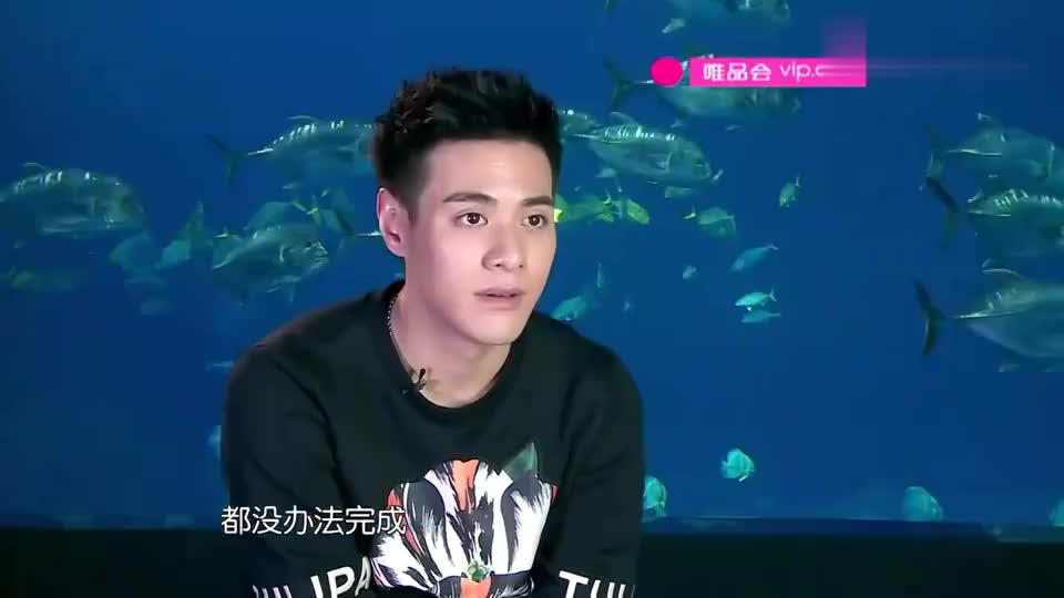 奇妙的朋友:海豚成"问题儿童",杜天皓被降服,心塞啊