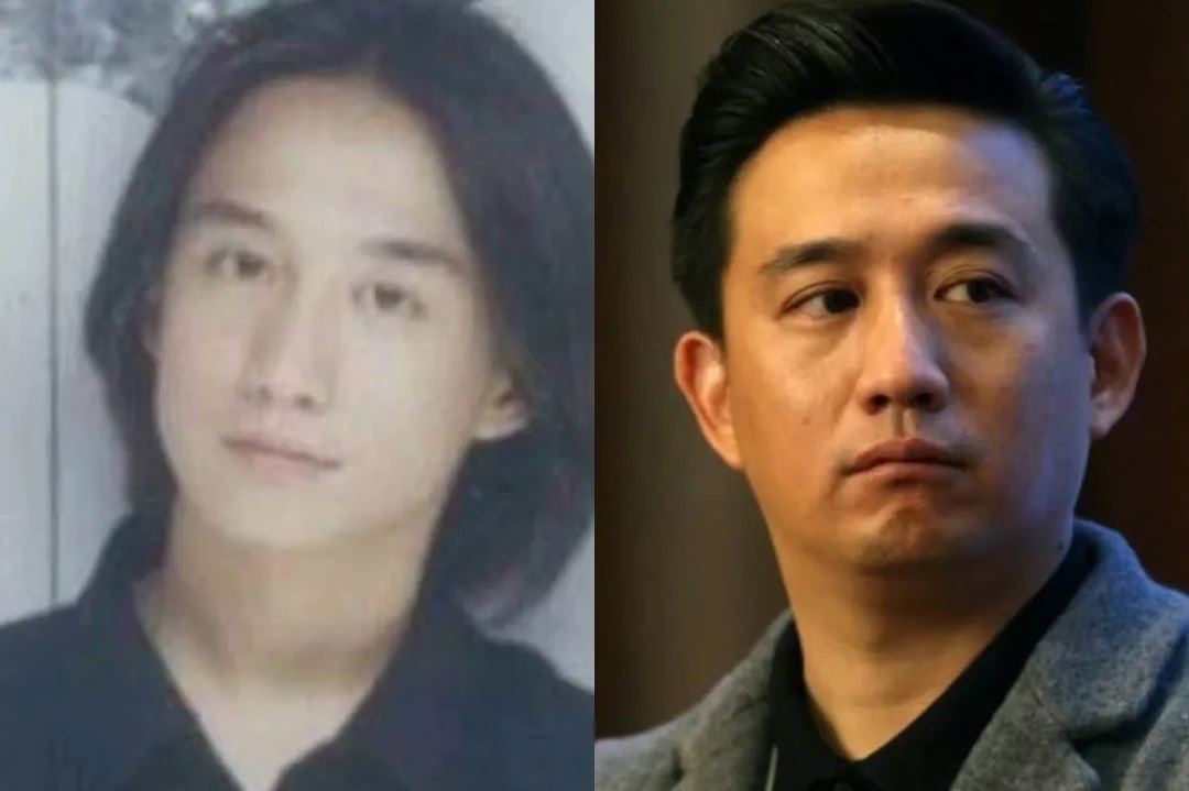 发腮比发福可怕!8位因发腮颜值暴跌的明星,对比堪比“毁容”|许凯|下颌|面部_新浪新闻