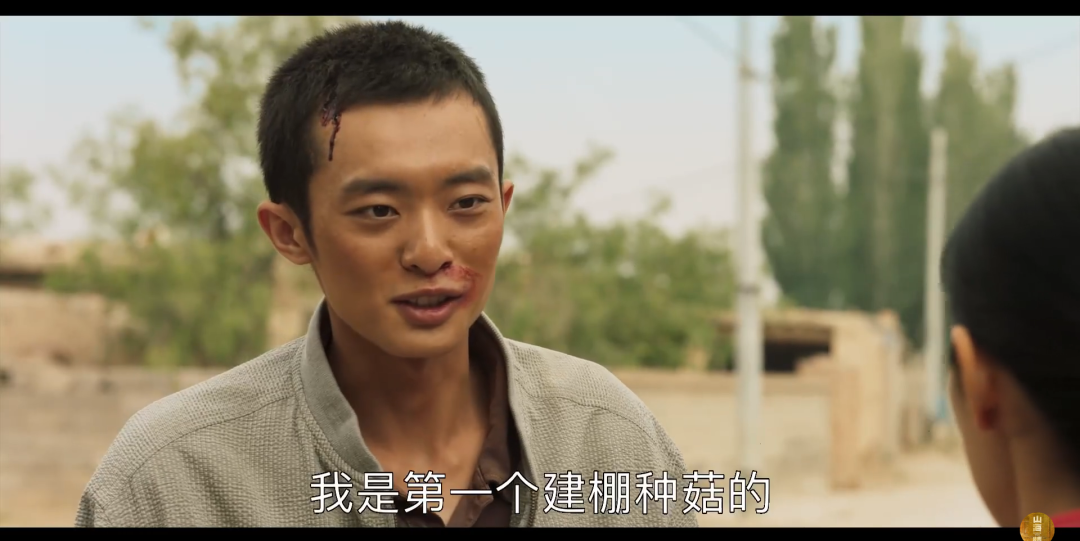 山海情马得宝神仙演技爆掉这部年度剧王