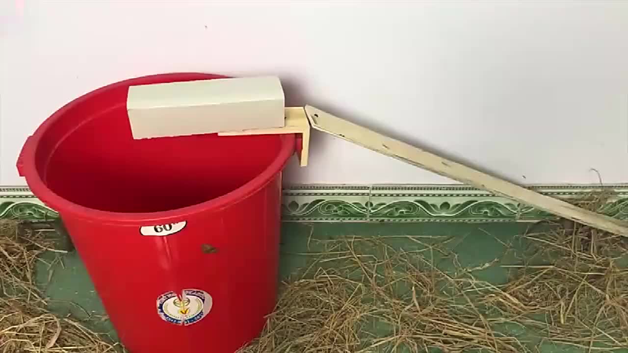 男子自制的捕鼠神器网友也就专治小老鼠吧
