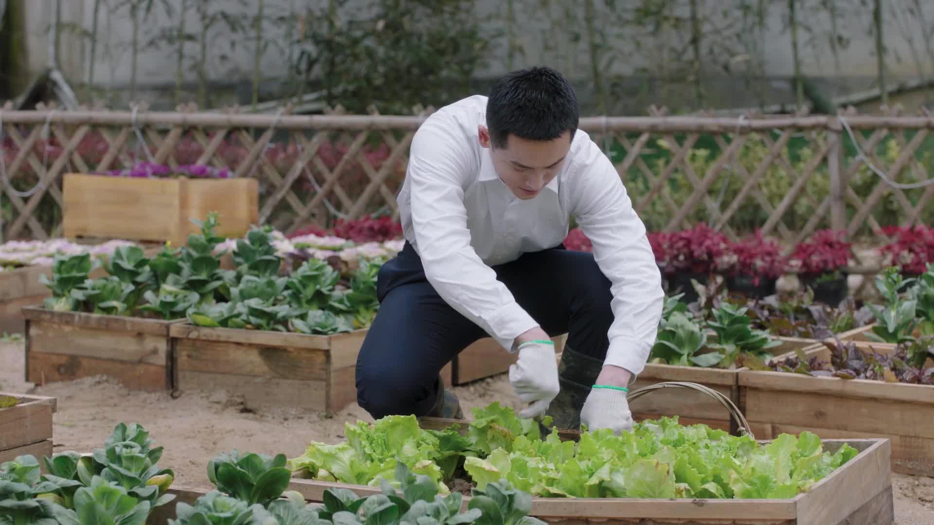 《谁都渴望遇见你》张泯摘菜逗罗溪开心却适得其反