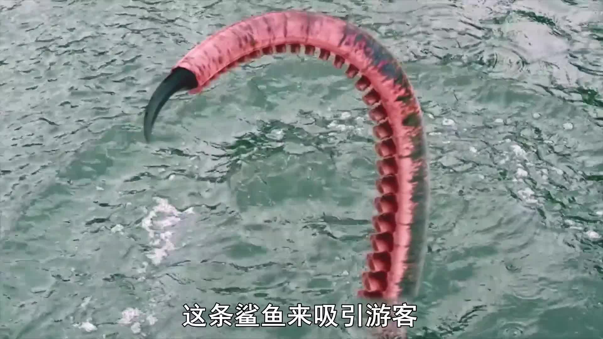 变异巨鲨长出8根章鱼触手,和长翅膀梭鱼展开空中大战!科幻片