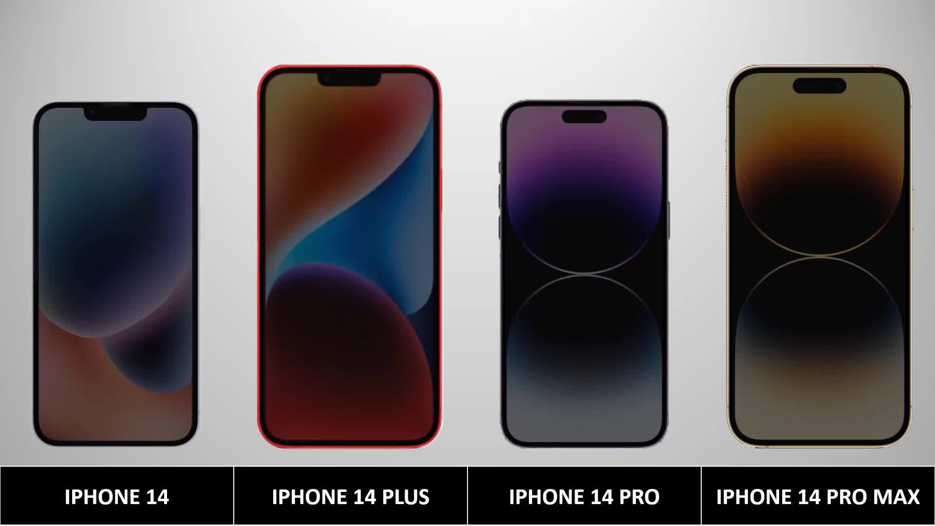 iphone14,plus,pro,pro max 四机型对比__财经头条