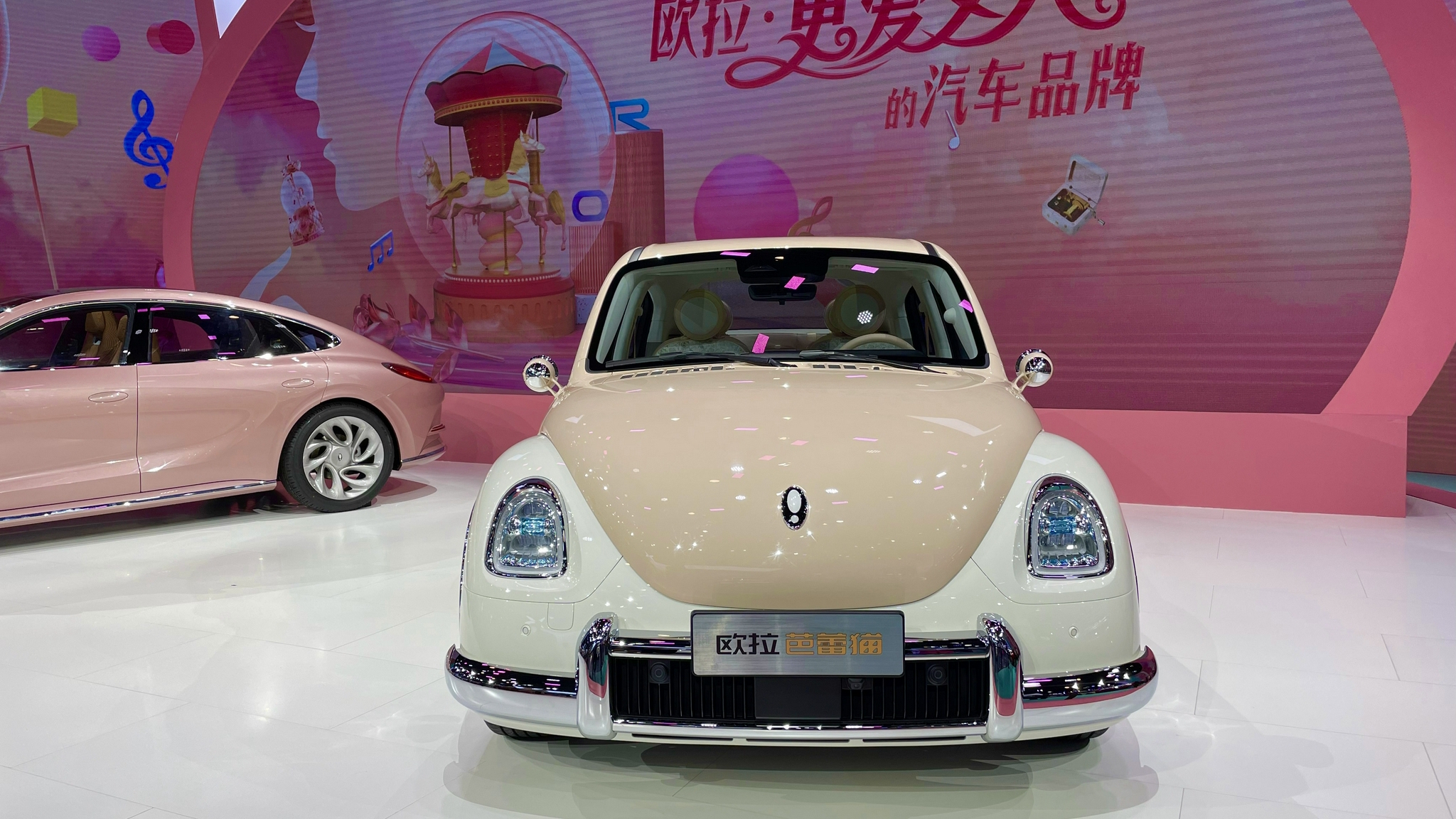 实拍欧拉芭蕾猫:看它如何用精致复古风来爱女人?