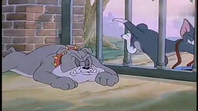 猫和老鼠大狗狗睡觉太死了想要吃骨头却抱着汤姆的腿不撒手