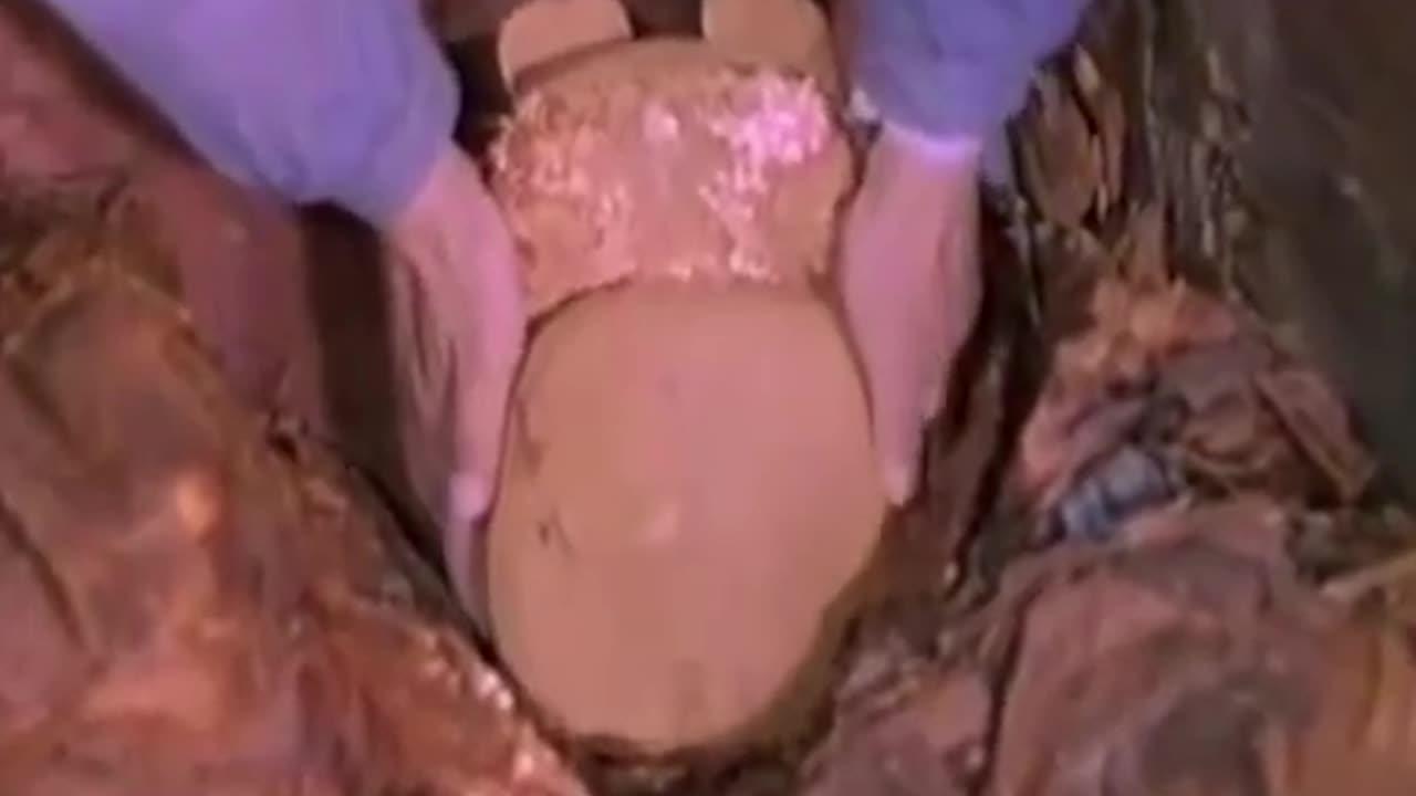 辽宁考古发现真人骨头泥塑被怀疑是真正的女娲