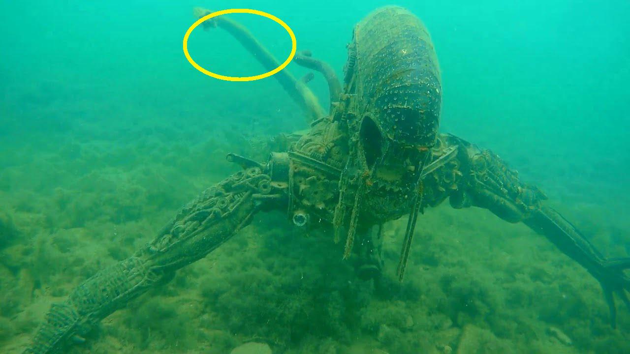 夫妻带娃湖边游玩偶遇"怪物" 神似泥巴会蠕动流出紫色黏液