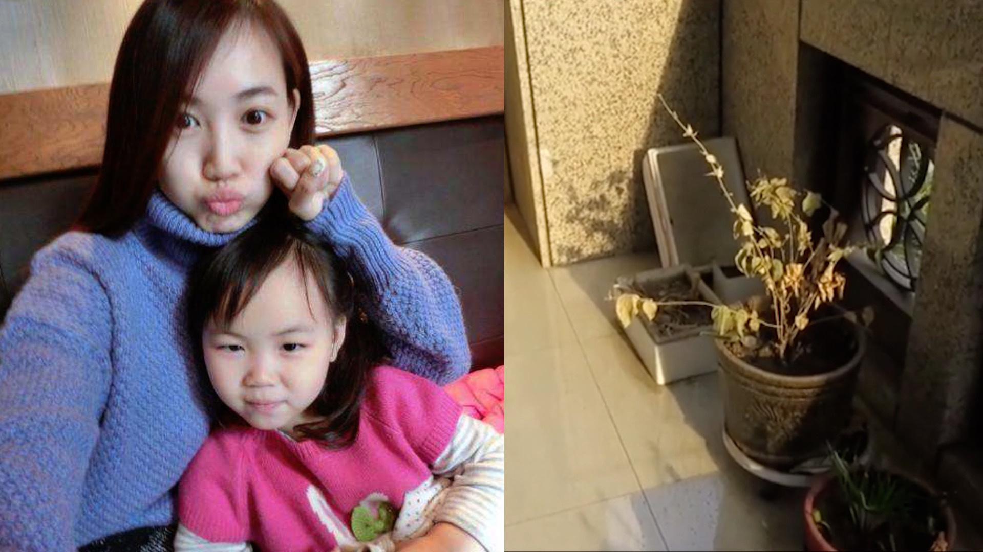 马蓉豪宅曝光!阳台大到可以建农场?王宝强女儿成小帮手