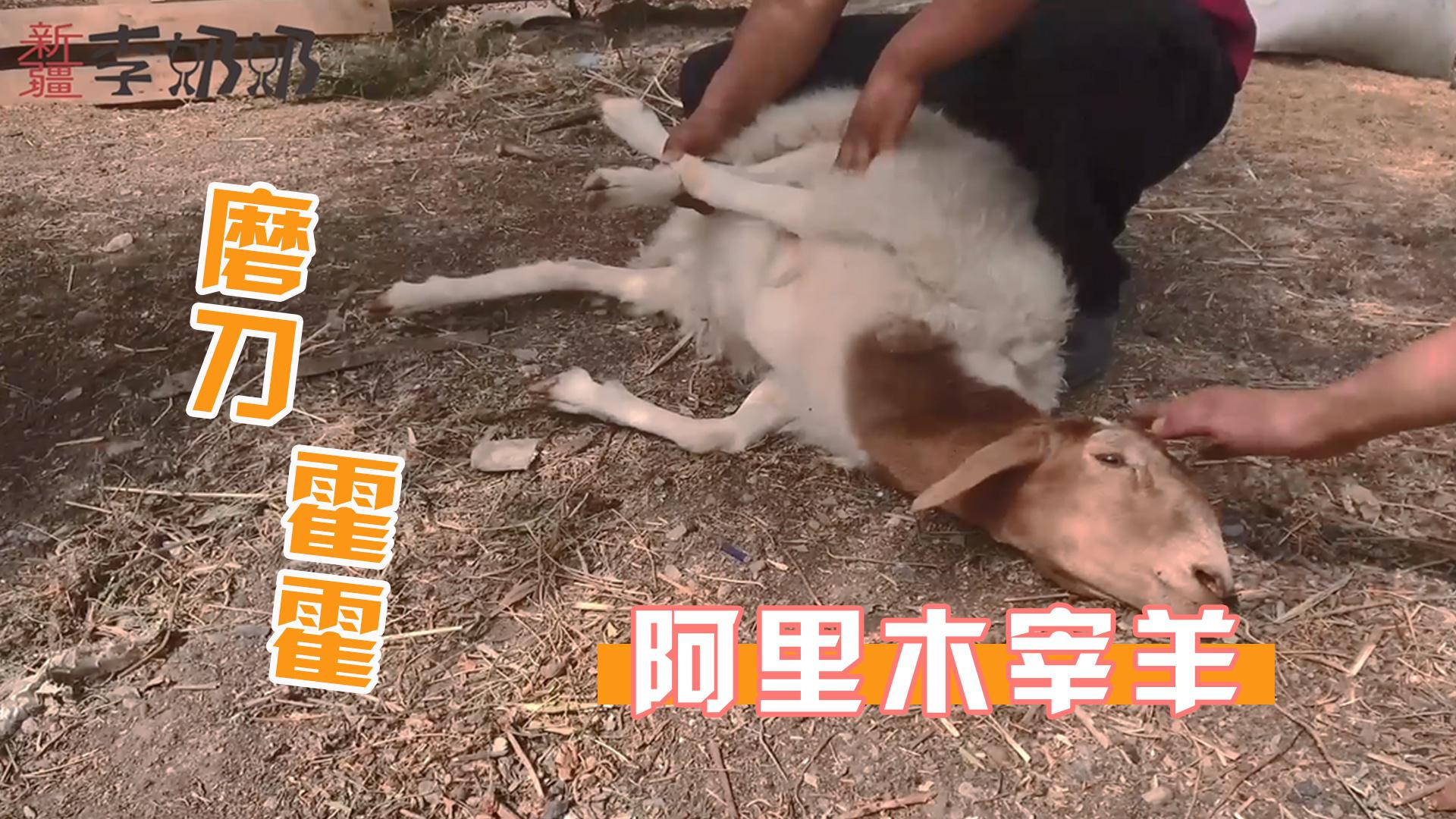 新疆李奶奶阿里木宰羊,传统方法现杀活羊,处理干净利落!|师傅|手法|专业_新浪新闻