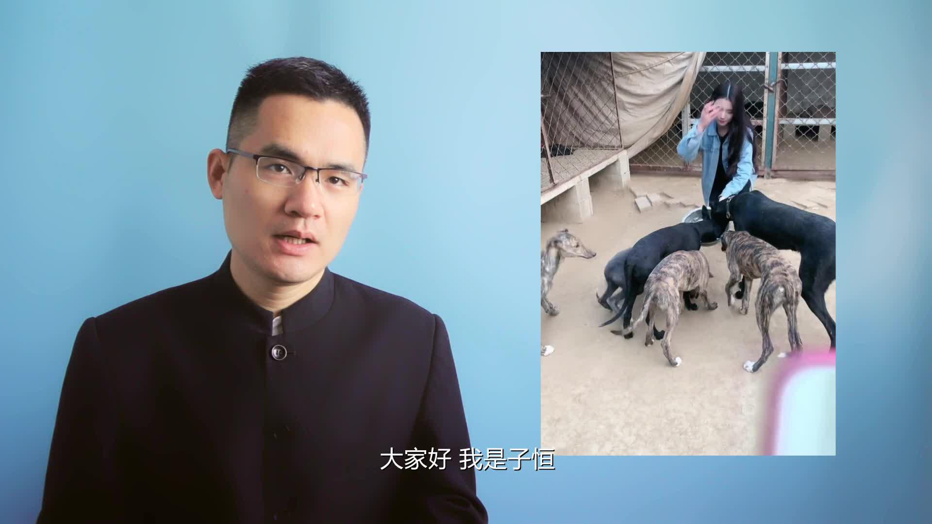 90后妹子养犬创业,每天为数十条犬做狗粮,清纯形象走红网络