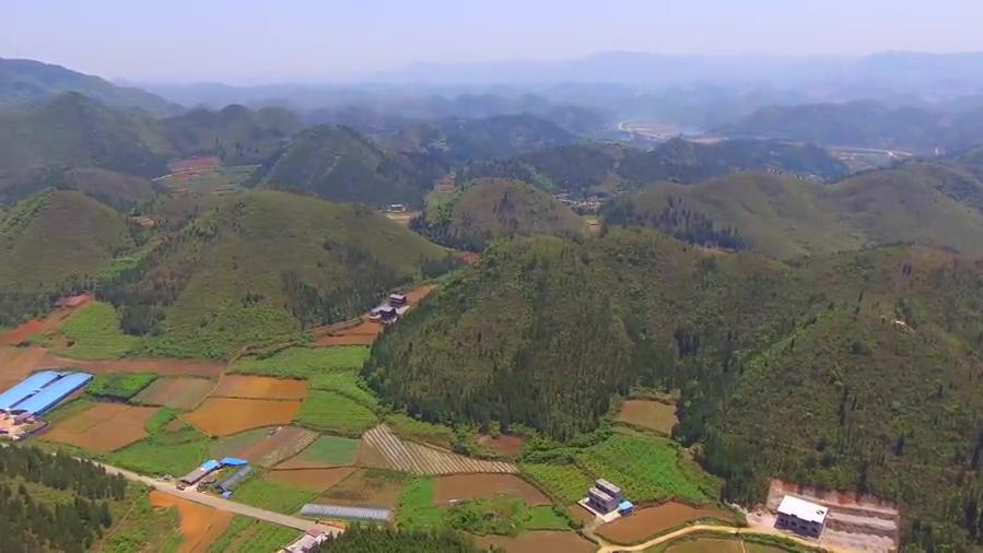 在贵州发现一座南瓜山,神似一个大南瓜,真是少见的奇观