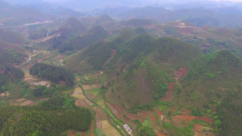 发现一个牛形山风水宝地,活灵活现,罕见的一道奇观!