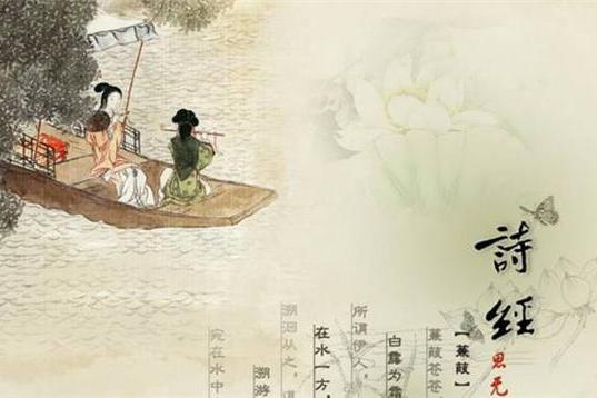 以《诗经·樛木》为例,说明读古书一定要读原文,才能感受它的美|诗经·樛木|蔓藤|诗经_新浪新闻