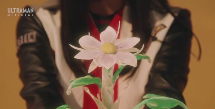 特利迦奥特曼官方补完露露耶的意思久弥没实质含义就是一朵花