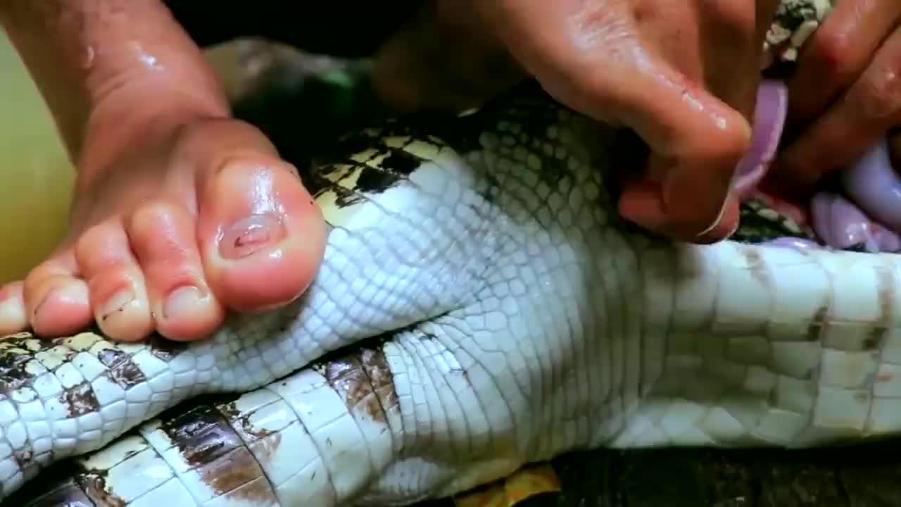 俩小伙抓到一条鳄鱼,发现鳄鱼腹部有乾坤,剖开一看赚翻了