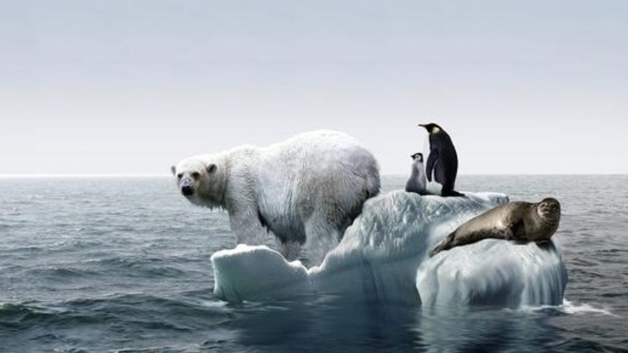 北极再迎危机全球变暖导致冰川融化大量反射性元素或被释放