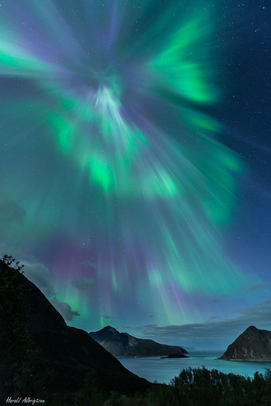 挪威上空的冕状极光|恒星|天文|影像|网站|大学_新浪新闻